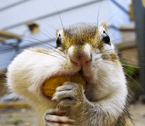 Industry 4.0 implementation - don't bite off more than you can chew